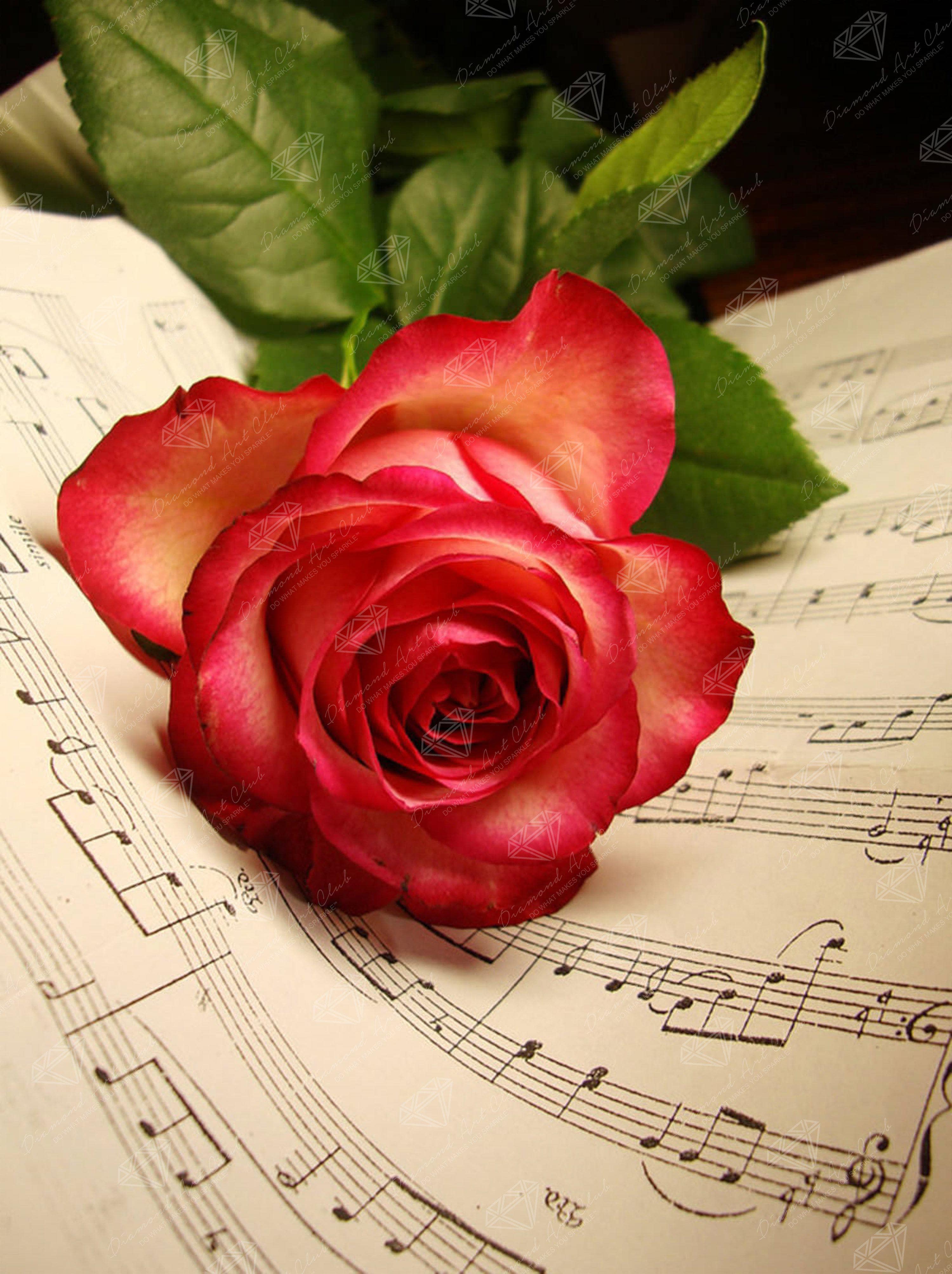 Rose Music Sheet – Official Diamond Art Club®